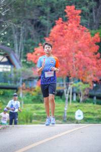 BIB: 8212
                            <button type="button" onclick="openModal(19240866)" class="btn btn-primary btn-sm float-right btn-popup" data-toggle="modal" data-target=".modal-high-quality">
                        <i class="fas fa-shopping-cart"></i> Add to Cart
                    </button>
                                            <button type="button" onclick="isThisMe(19240866, true)" class="btn btn-success btn-sm float-right btn-popup btn-isme hidden" data-toggle="tooltip" data-placement="bottom" title="นี่คือรูปของคุณใช่ไหม คลิกที่นี่เพื่อเอาเข้าอัลบั้ม">
                        <i class="fas fa-plus"></i> Add to album
                    </button>
                    <button type="button" onclick="isThisMe(19240866, false)" class="btn btn-warning btn-sm float-right btn-popup btn-isnotme hidden">
                        <i class="fas fa-ban"></i> Remove from album
                    </button>